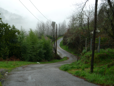 Camino de Covelo a Barciademera